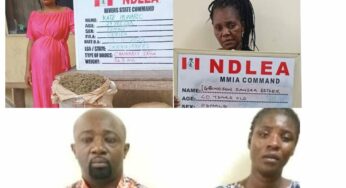 Grandma, pregnant woman, others in NDLEA’s net over 5,527.15kg meth, skunk