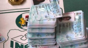 5 things you should know as INEC begins PVC distribution