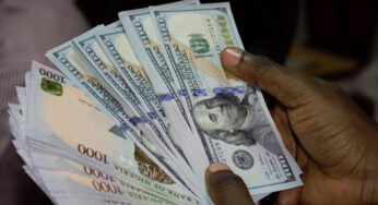 BREAKING: Dollar crashes against naira at parallel exchange market