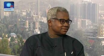 2027: Why proposed merger of opposition parties will not remove Tinubu from seat – Osita Okechukwu