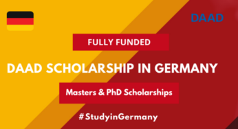 List of best International Scholarships in Germany 2023| Direct links to apply