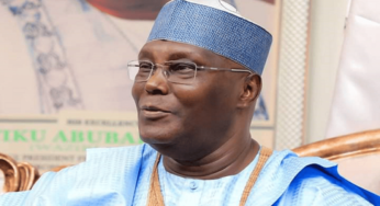 Certificate: Fresh trouble for Tinubu as Atiku makes fresh moves against Asiwaju