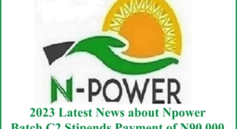 Don’t scrap N-Power Programme – Northern group warns FG