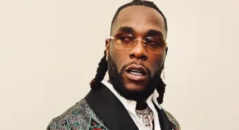 Burna Boy’s accomplishments are not self-generated – Patrick Doyle