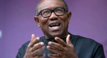 Nigerians contributed N595.9m for Peter Obi’s election – Obi-Datti