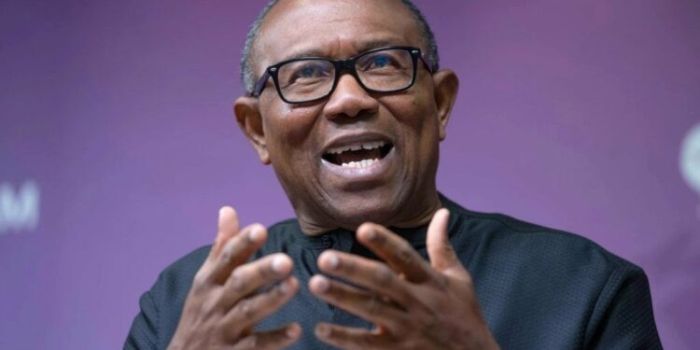 Nigerians contributed N595.9m for Peter Obi’s election – Obi-Datti