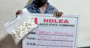 Charles Uwagbale: Notorious drug kingpin busted by NDLEA in Lagos Hotel