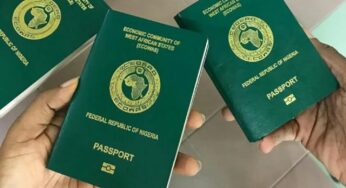 45 countries Nigerians can visit without a visa (Full list)