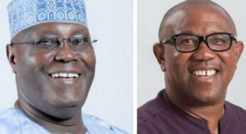 Fuel hell: Atiku, Peter Obi under fire for refusing to lead protest against Tinubu