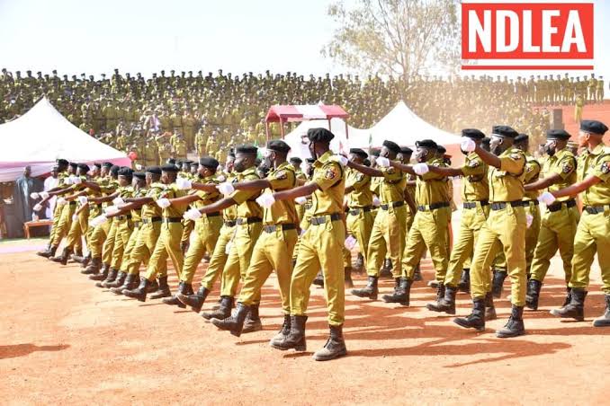 NDLEA recruitment 2023: Instructions to all successful candidates