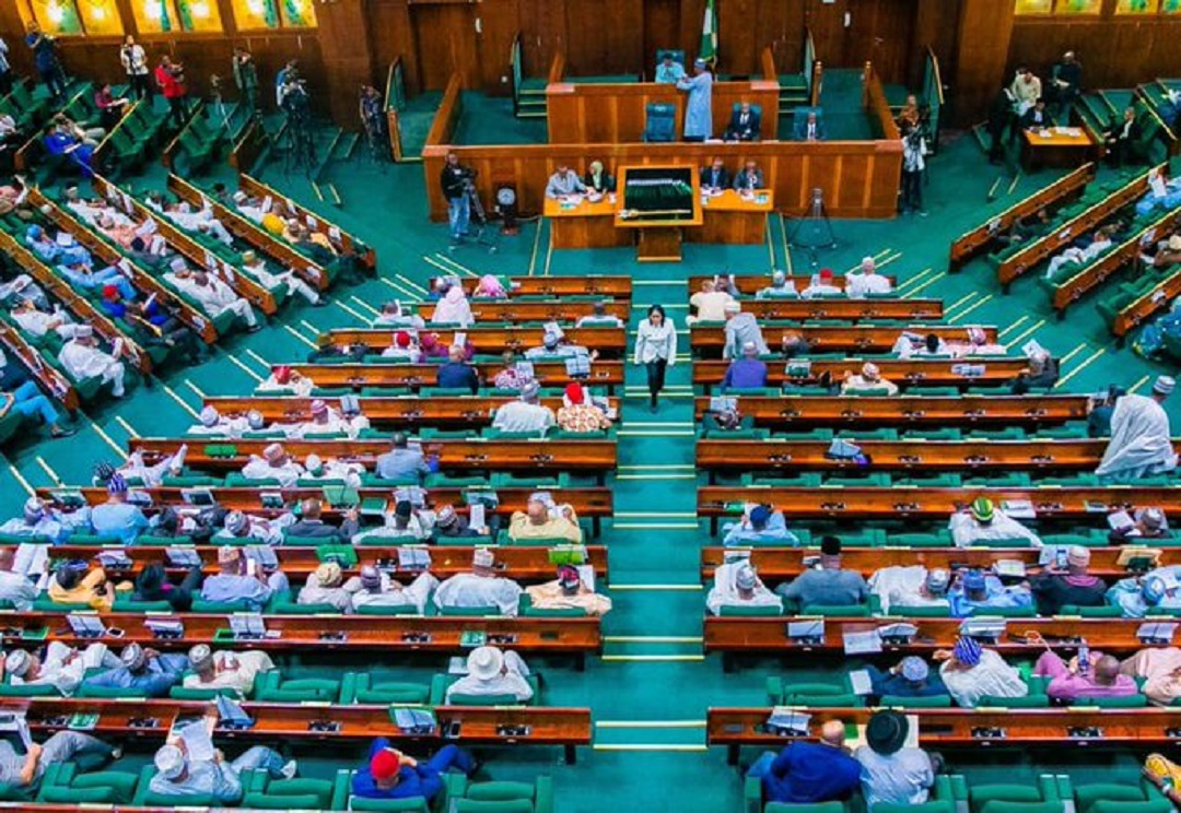 Reps set to monitor palliative distribution to Nigerians