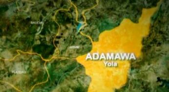 Shila boys gang kills man over phones robbery in Adamawa