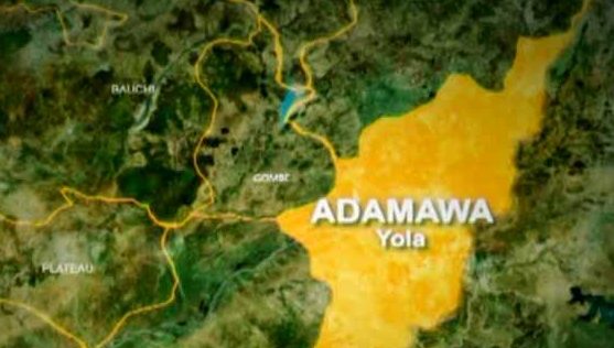 Shila boys gang kills man over phones robbery in Adamawa