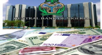 CBN official Naira to Foreign Exchange rates today, 29 August 2023