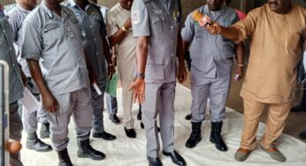Nigerian Customs seizes 1,245 live cartridges concealed in rice bags in Ogun