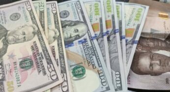 Black market Dollar to Naira exchange rate today 14th October 2023