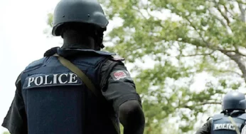 Delta: Police apprehend suspected murderer, seize weapons