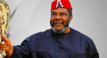 Biography of Pete Edochie, age, wife, children, net worth, movies