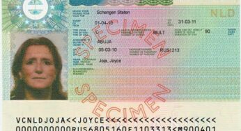 How to apply for a Netherlands Schengen visa