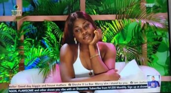 BBNaija All Stars: Biggie issues Alex, Ike final warning