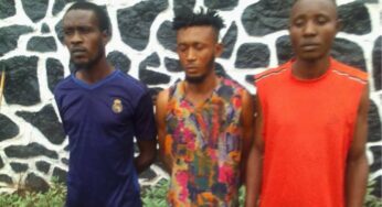 Police arrest three suspected Eiye cult members in Ogun