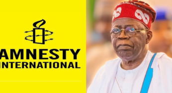 Amnesty criticizes Tinubu government for journalist accreditation revocation