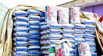 Tinubu crashes price of cement, orders companies to start selling at old prices