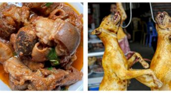 Kaduna community protests after Muslim man shares dog meat at event