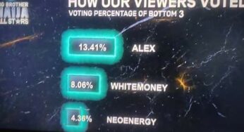 BBNaija All Stars: How viewers voted for Whitemoney, Neo and Alex