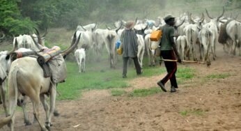 Controversy over proposed construction of Fulani colony in Benue