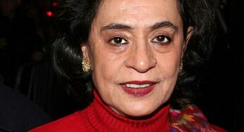 Gita Mehta, renowned filmmaker and author is dead