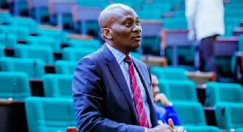 Court sacks Elumelu, declares Labour Party candidate winner of reps seat in Delta