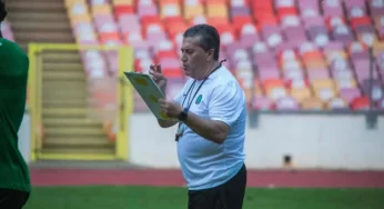 AFCON: NFF told what to do to Super Eagles coach, Jose Peseiro