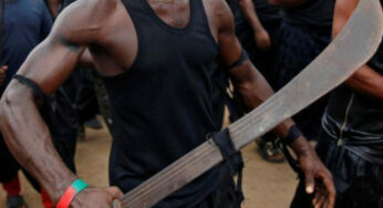 7 dead, many injured in Benue-Cross River boundary clash