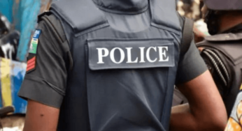 Kaduna police nab 13 kidnapping suspects, kill 4