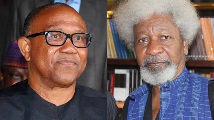 Wole Soyinka under fire over comment on Peter Obi