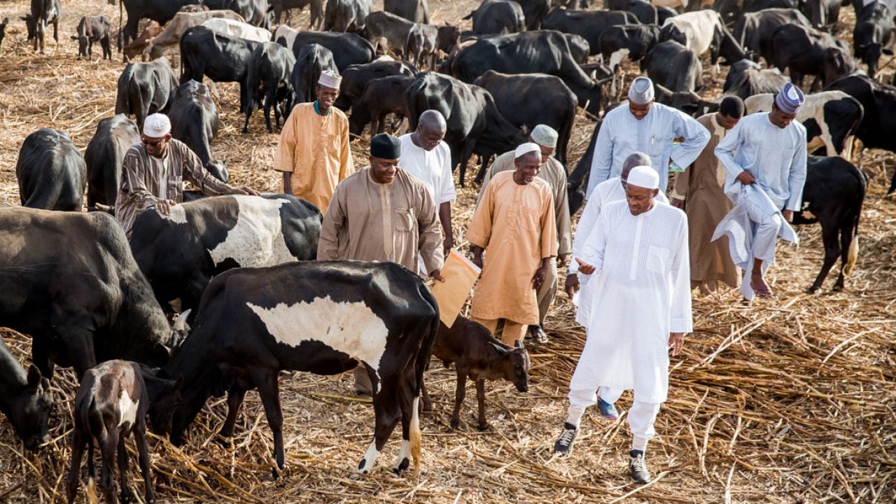 Buhari returns to his farm in Daura