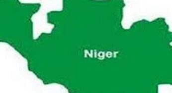 Niger: Bandits kill village chief, abduct residents