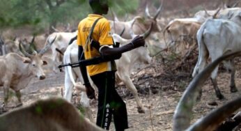 Three killed, several injured as herdsmen attack travellers on Benue-Nasarawa road
