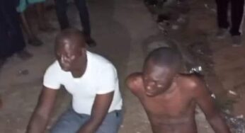 Benue youths beat Deeper Life pastor to coma of missing manhood in Makurdi