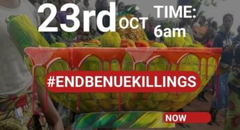 EndBenueKillings protest set to ground 23 LGAs