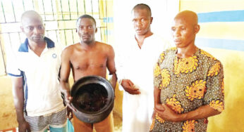 Popular Lagos pastor, Oyenekan 3 others arrested with human skull