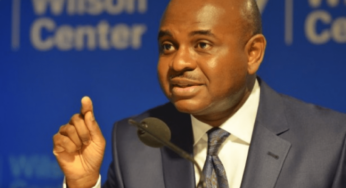 Kingsley Moghalu advocates for exclusive use of local vehicles by government officials