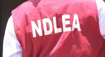 NDLEA arrest 134 suspected drug offenders