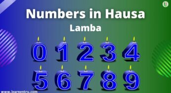 How to count 1 to 100 in Hausa language