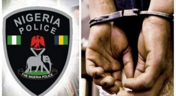 Police Command arrest female bandit with arms in Benue