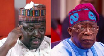 The person in seat of power not Tinubu – Arewa National Leader, Yerima