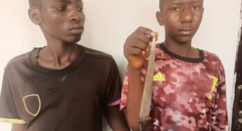 Two teenagers arrested for phone snatching in Yola