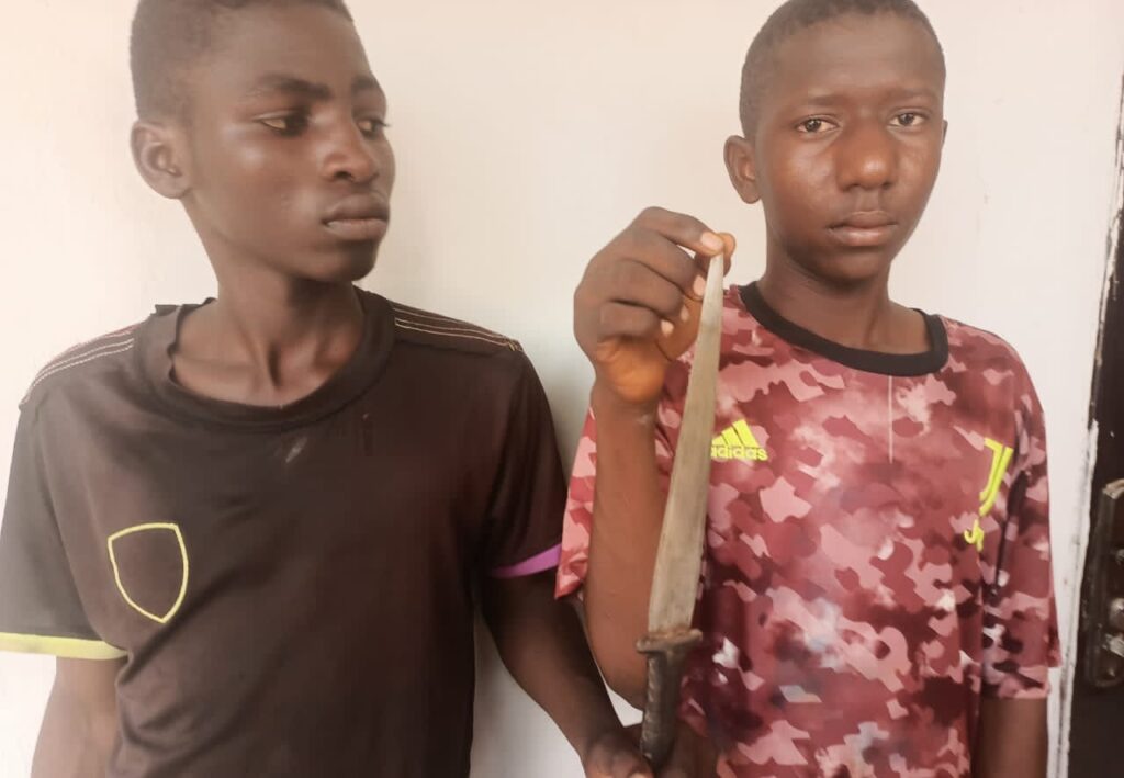 Two teenagers arrested for phone snatching in Yola