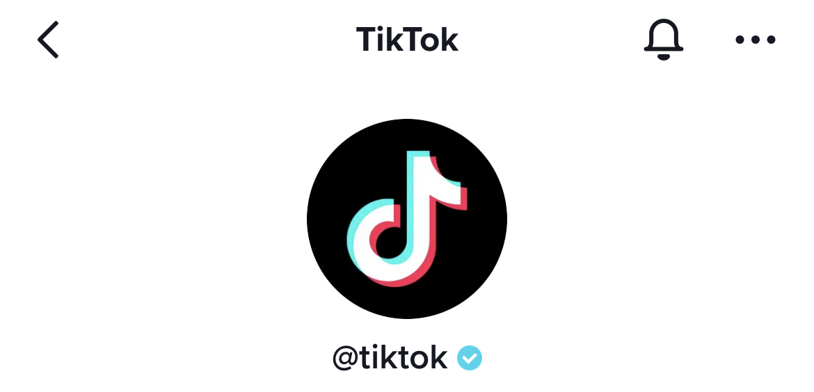 How to get verified on TikTok